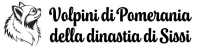 Volpini di Pomerania